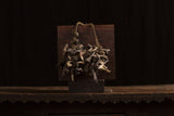 Rare Medicine Man Shaman Bag