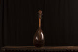 Vintage Mandolin With Butterfly