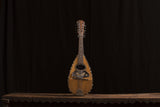 Vintage Mandolin With Butterfly