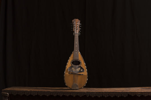 Vintage Mandolin With Butterfly