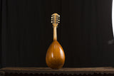 Vintage Mandolin with Flowers
