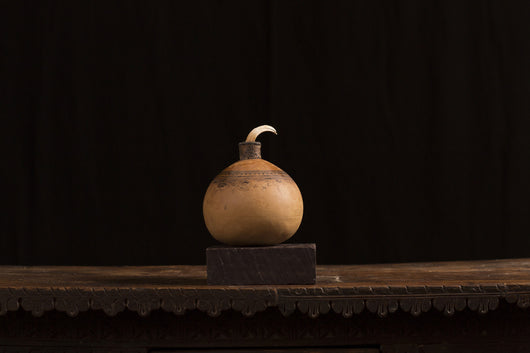 Lime Gourd Pyro Engraved Boar's Tusk Stopper